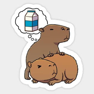 Capybara thirsty for Carton of Milk Sticker